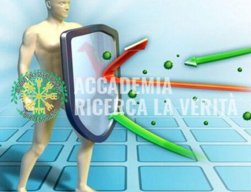 Educazione Civica: La Realizzazione