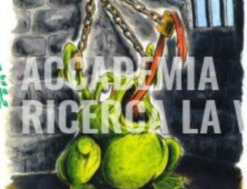 Resoconto LIVE ZOOM La Rana Bollita